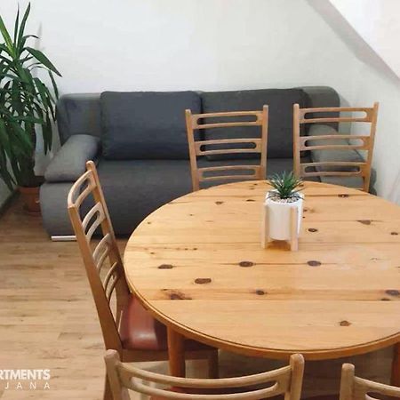 Huge Bbq Garden 2, Spacious Flat, Ac, Free Parking 2 卢布尔雅那 外观 照片