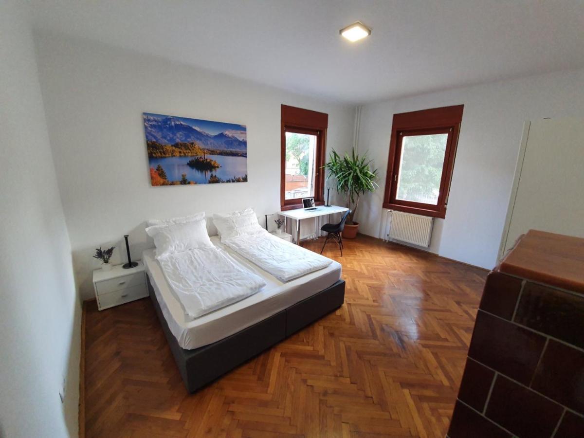 Huge Bbq Garden 2, Spacious Flat, Ac, Free Parking 2 卢布尔雅那 外观 照片