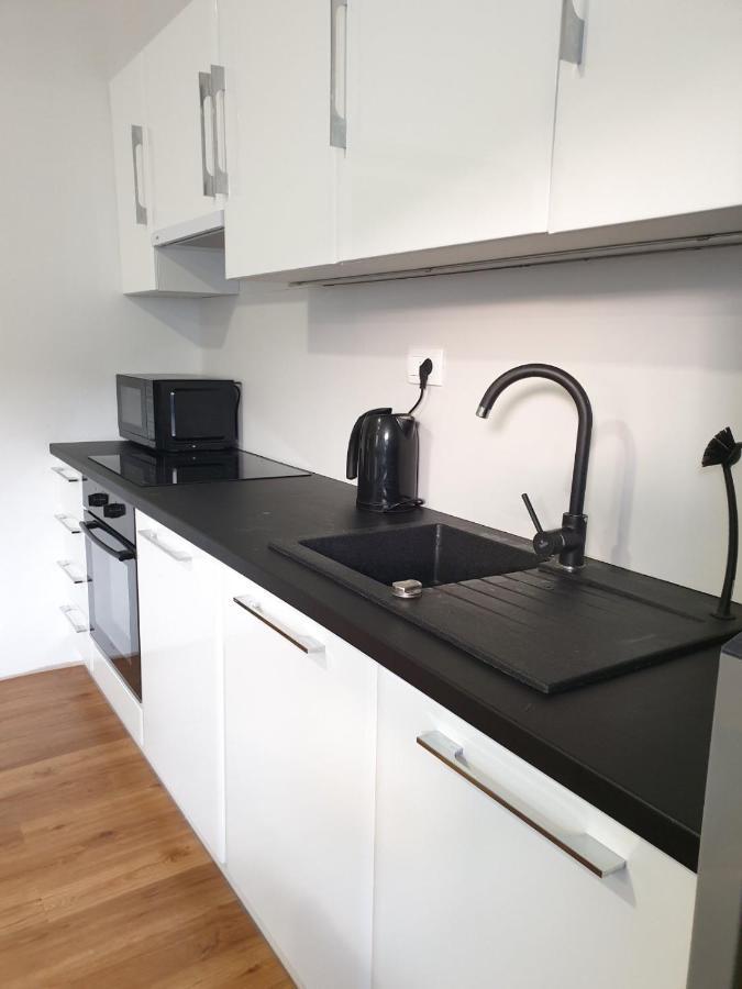 Huge Bbq Garden 2, Spacious Flat, Ac, Free Parking 2 卢布尔雅那 外观 照片