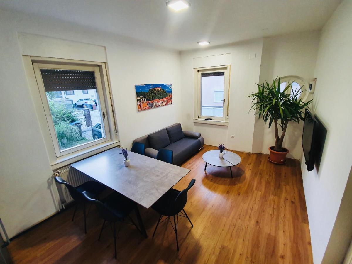 Huge Bbq Garden 2, Spacious Flat, Ac, Free Parking 2 卢布尔雅那 外观 照片
