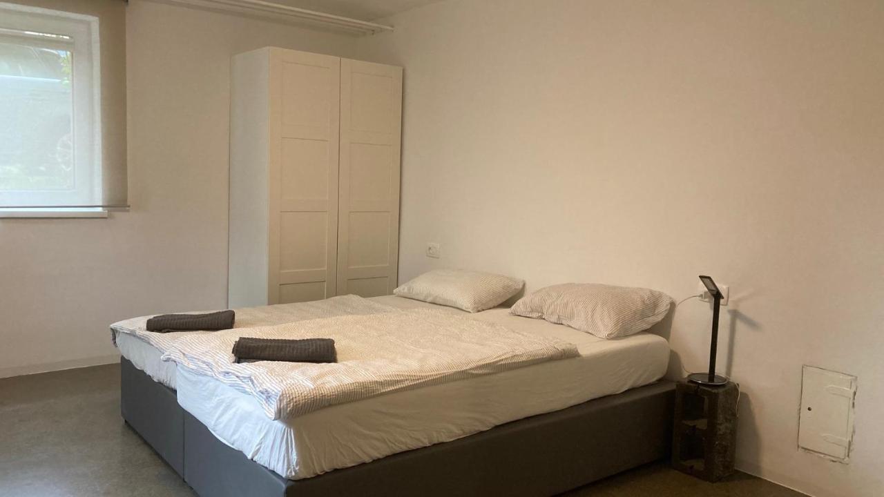 Huge Bbq Garden 2, Spacious Flat, Ac, Free Parking 2 卢布尔雅那 外观 照片
