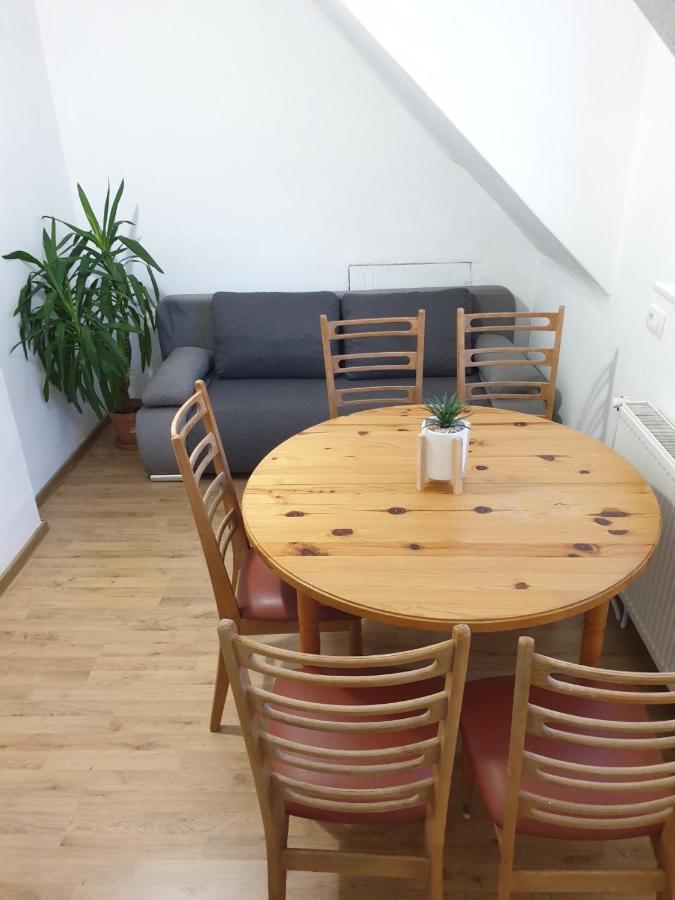 Huge Bbq Garden 2, Spacious Flat, Ac, Free Parking 2 卢布尔雅那 外观 照片