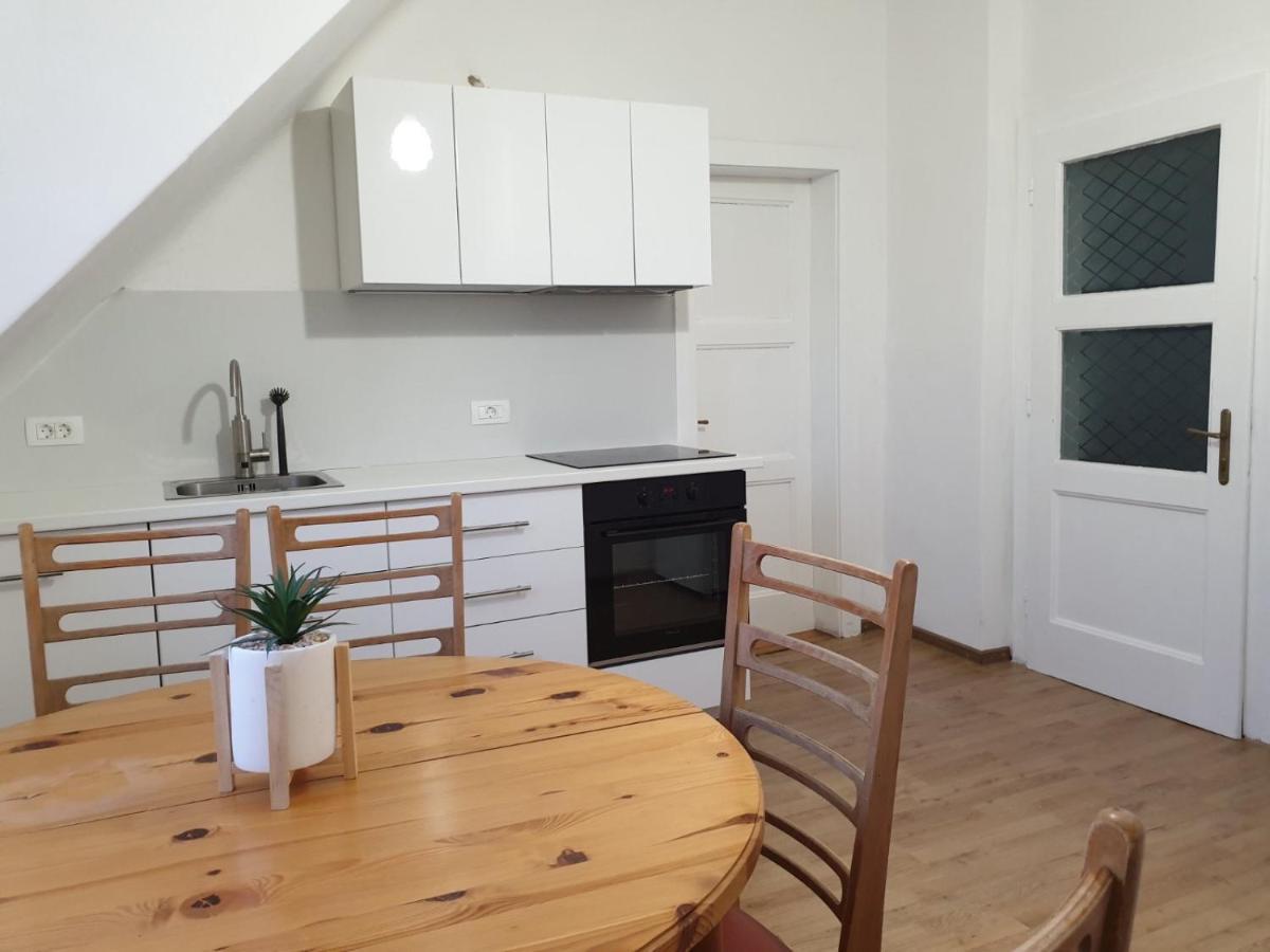 Huge Bbq Garden 2, Spacious Flat, Ac, Free Parking 2 卢布尔雅那 外观 照片