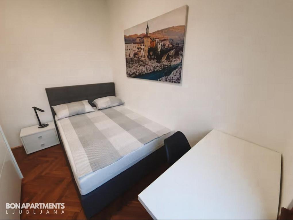 Huge Bbq Garden 2, Spacious Flat, Ac, Free Parking 2 卢布尔雅那 外观 照片