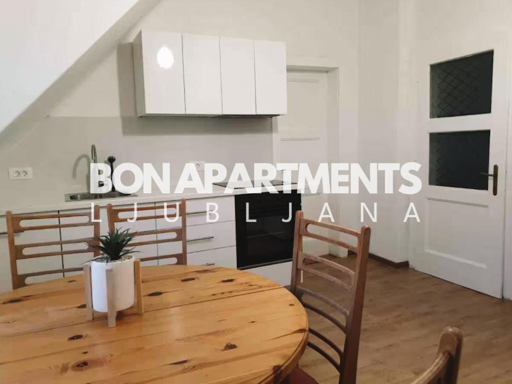 Huge Bbq Garden 2, Spacious Flat, Ac, Free Parking 2 卢布尔雅那 外观 照片