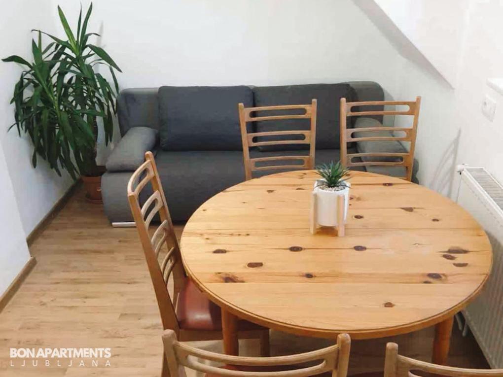 Huge Bbq Garden 2, Spacious Flat, Ac, Free Parking 2 卢布尔雅那 外观 照片